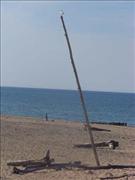 Just hanging out, Whitefish Point, Michigan